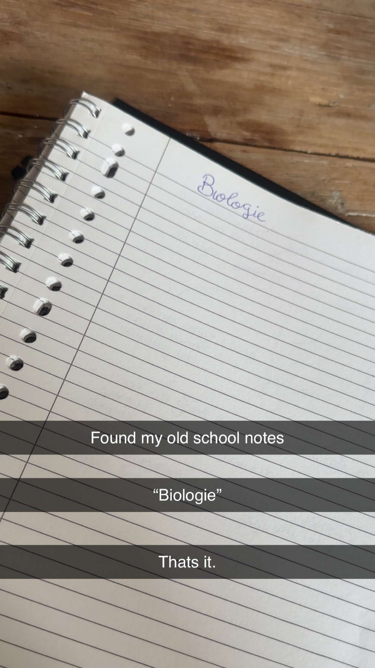 surfsterre snapchat image archive image