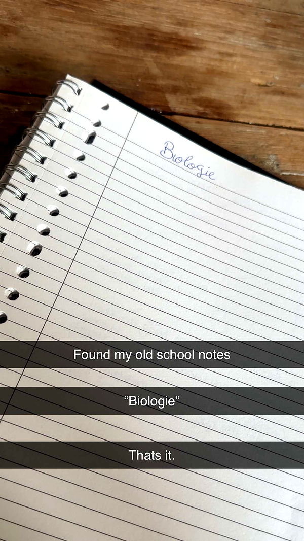 surfsterre image ~ Altpins