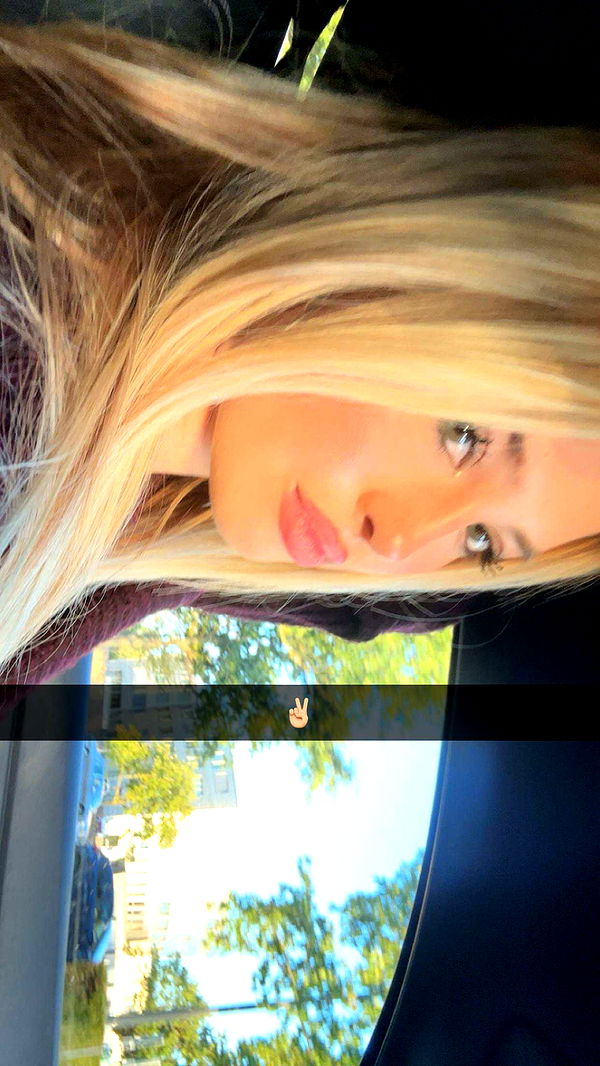 surfsterre image ~ Altpins