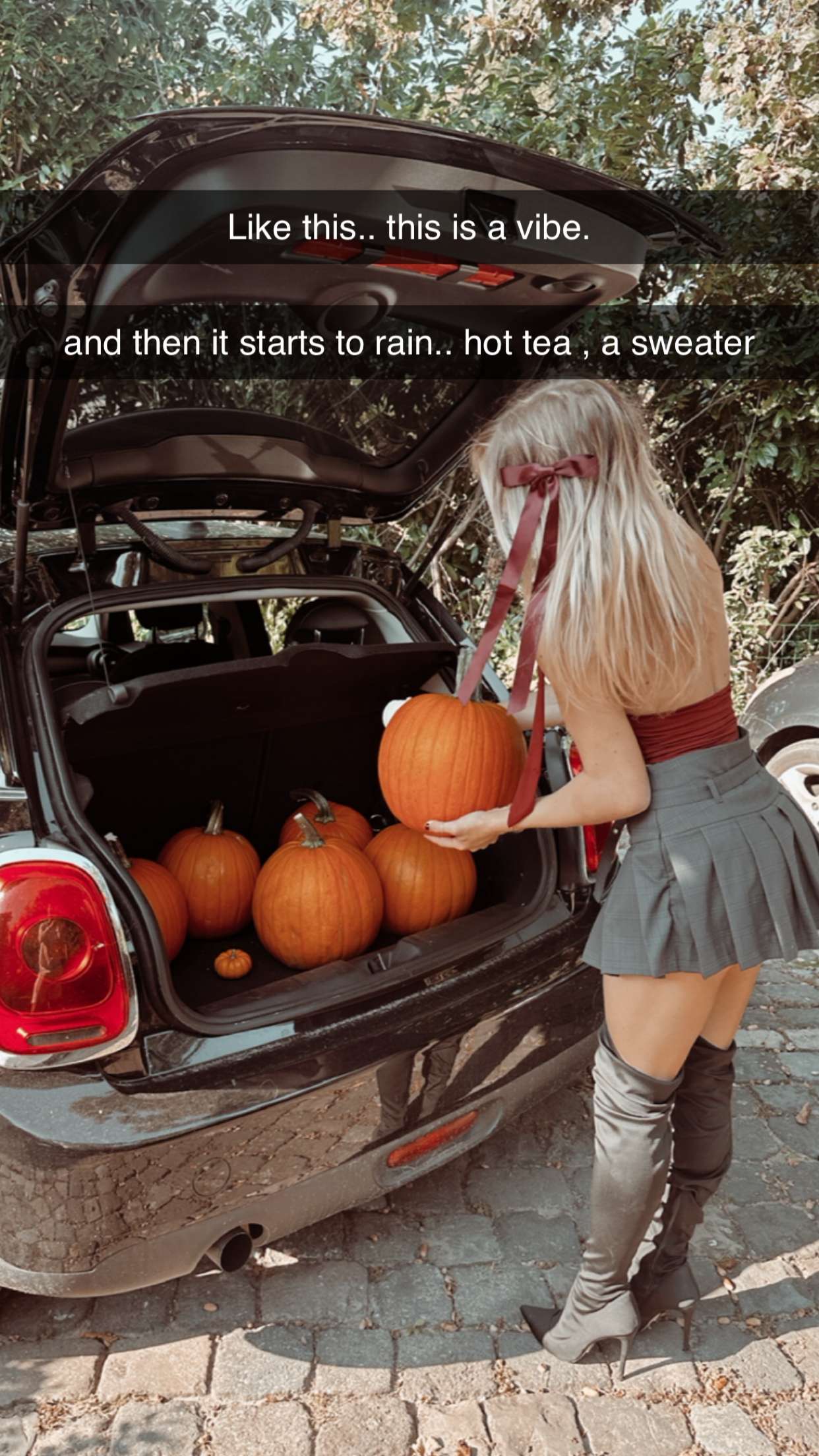 surfsterre snapchat image archive image