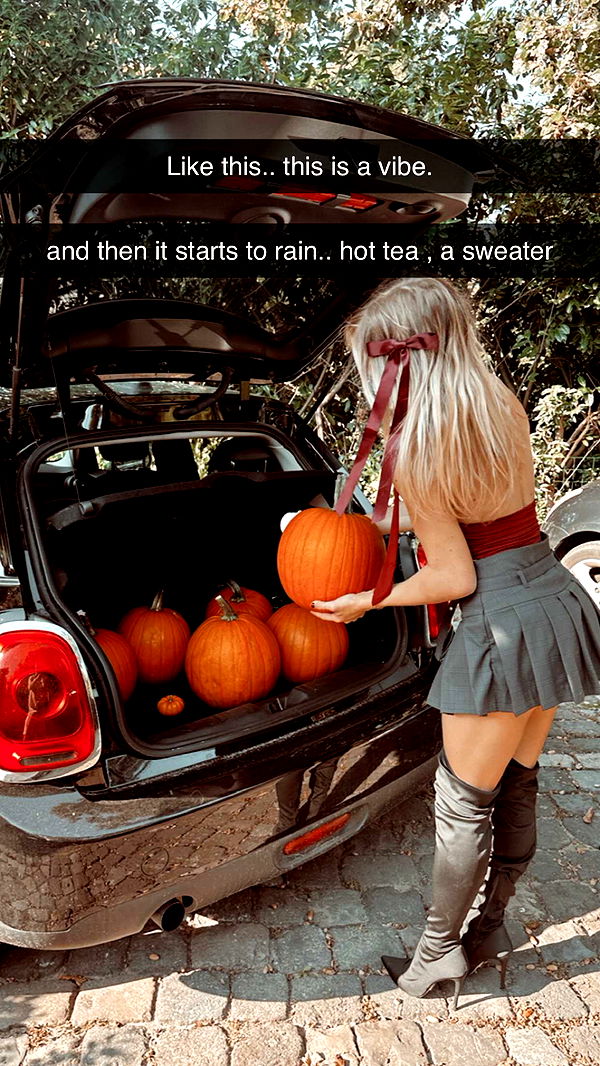 surfsterre image ~ Altpins