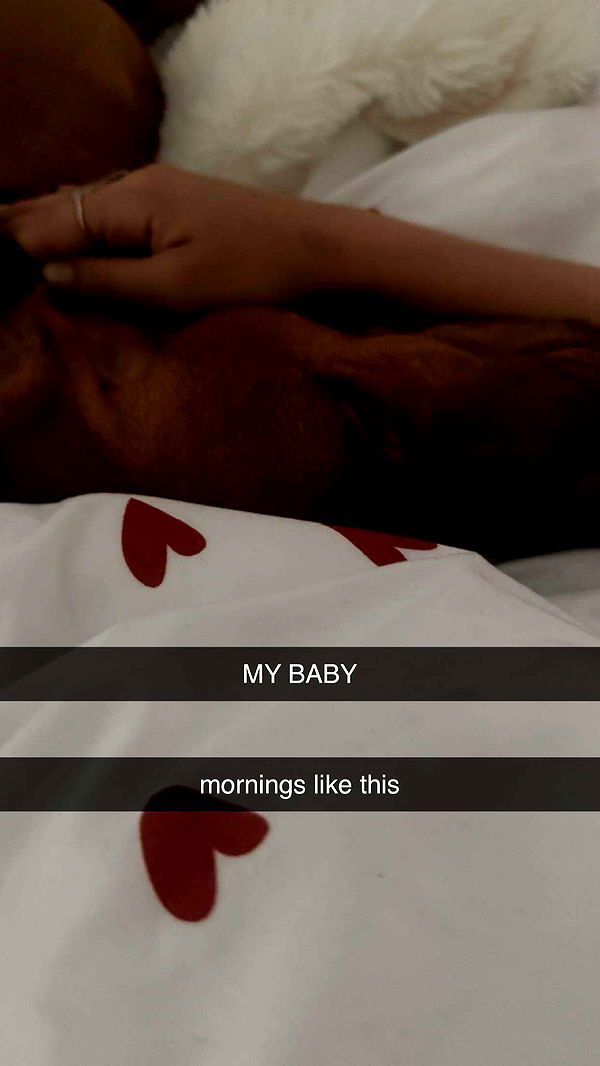 surfsterre image ~ Altpins