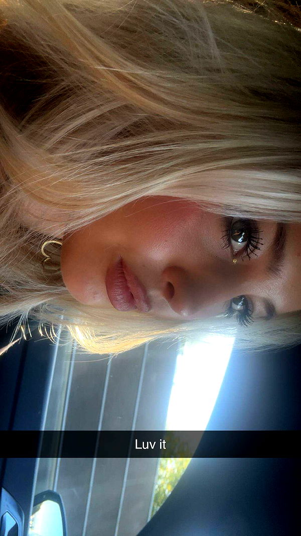 surfsterre image ~ Altpins