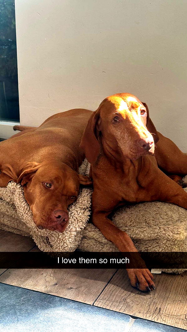 surfsterre image ~ Altpins