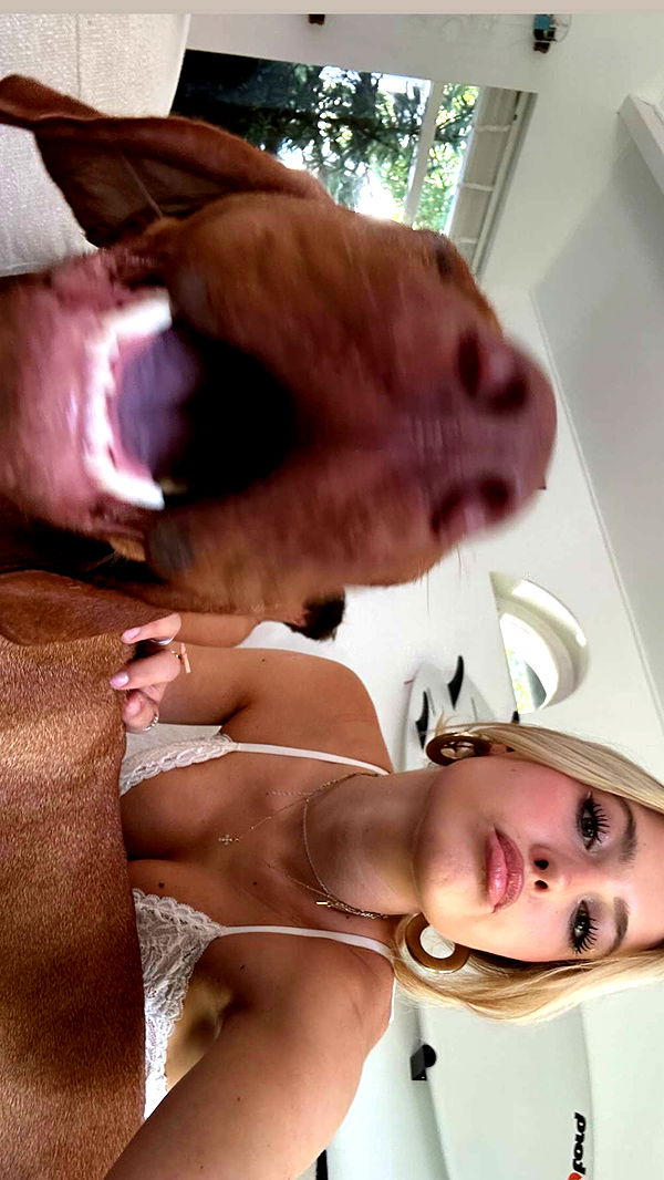 surfsterre image ~ Altpins