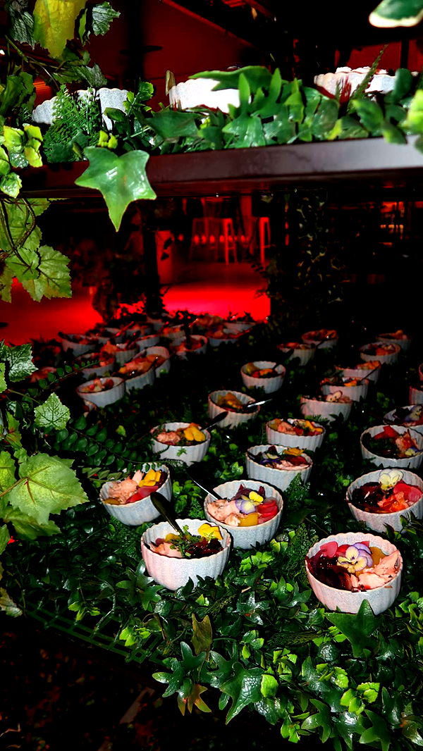 surfsterre image ~ Altpins