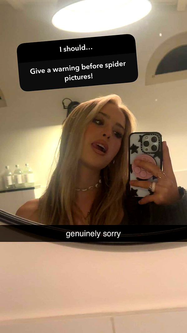 surfsterre image ~ Altpins