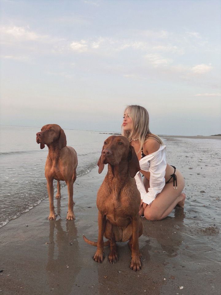 surfsterre snapchat image archive image