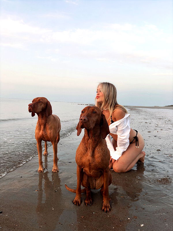 surfsterre image ~ Altpins