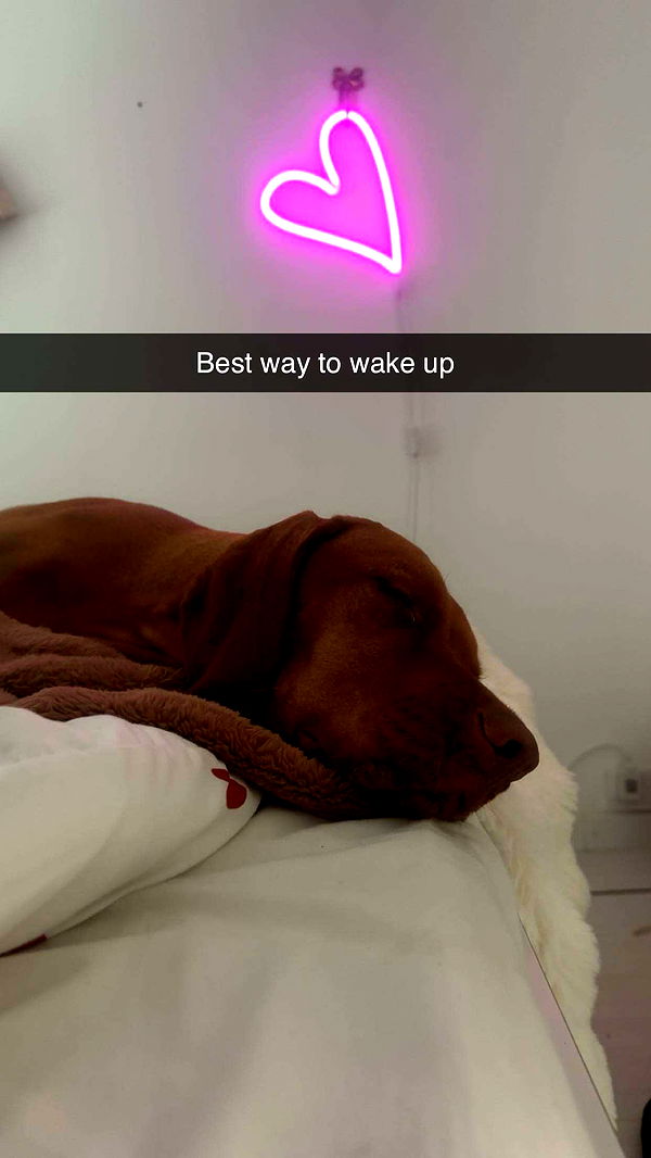 surfsterre image ~ Altpins