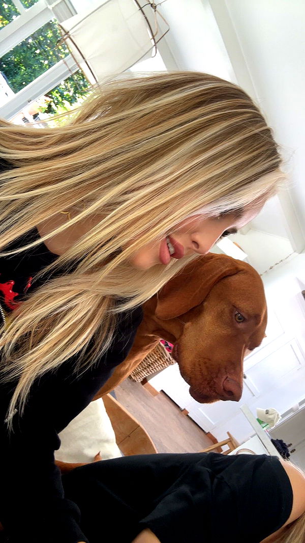 surfsterre image ~ Altpins