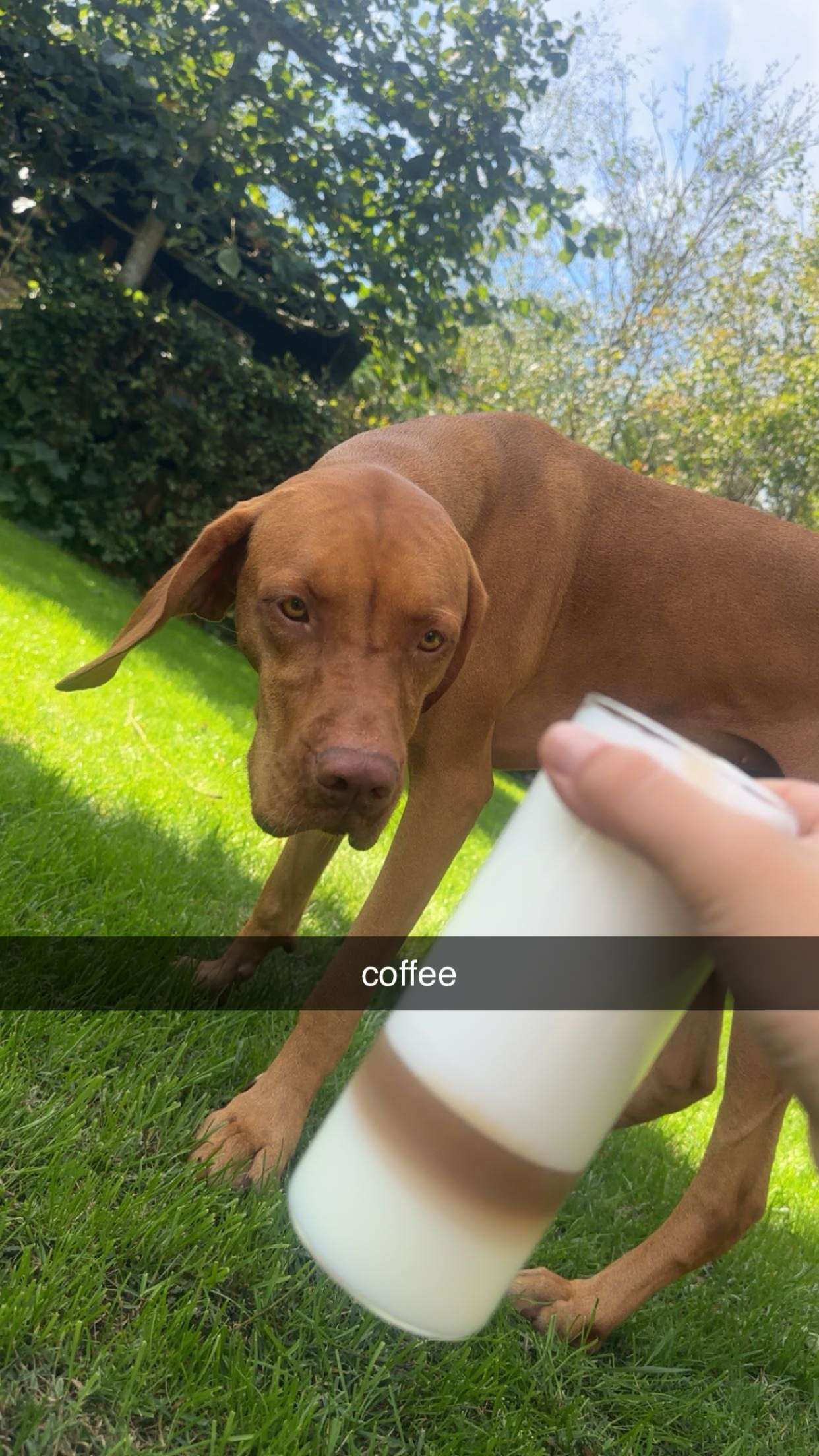 surfsterre snapchat image archive image