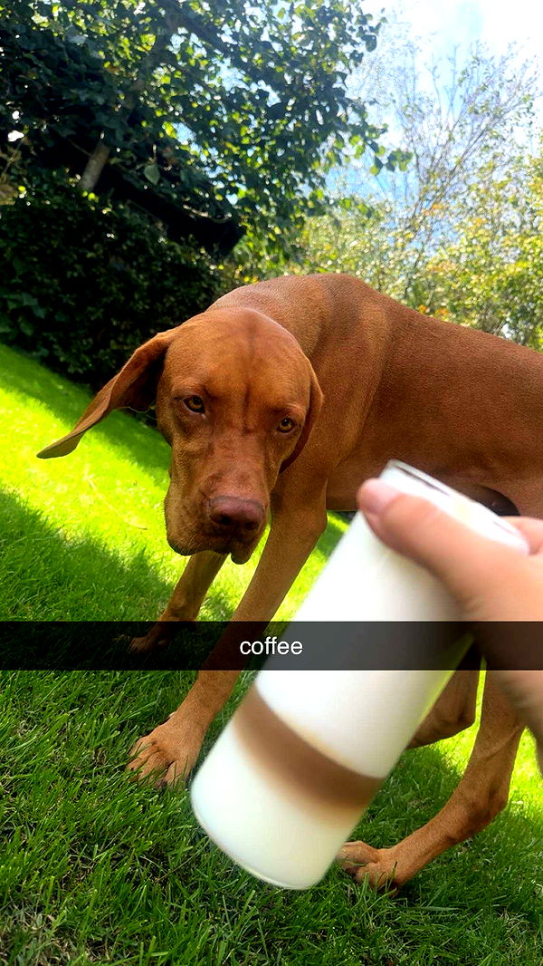 surfsterre image ~ Altpins