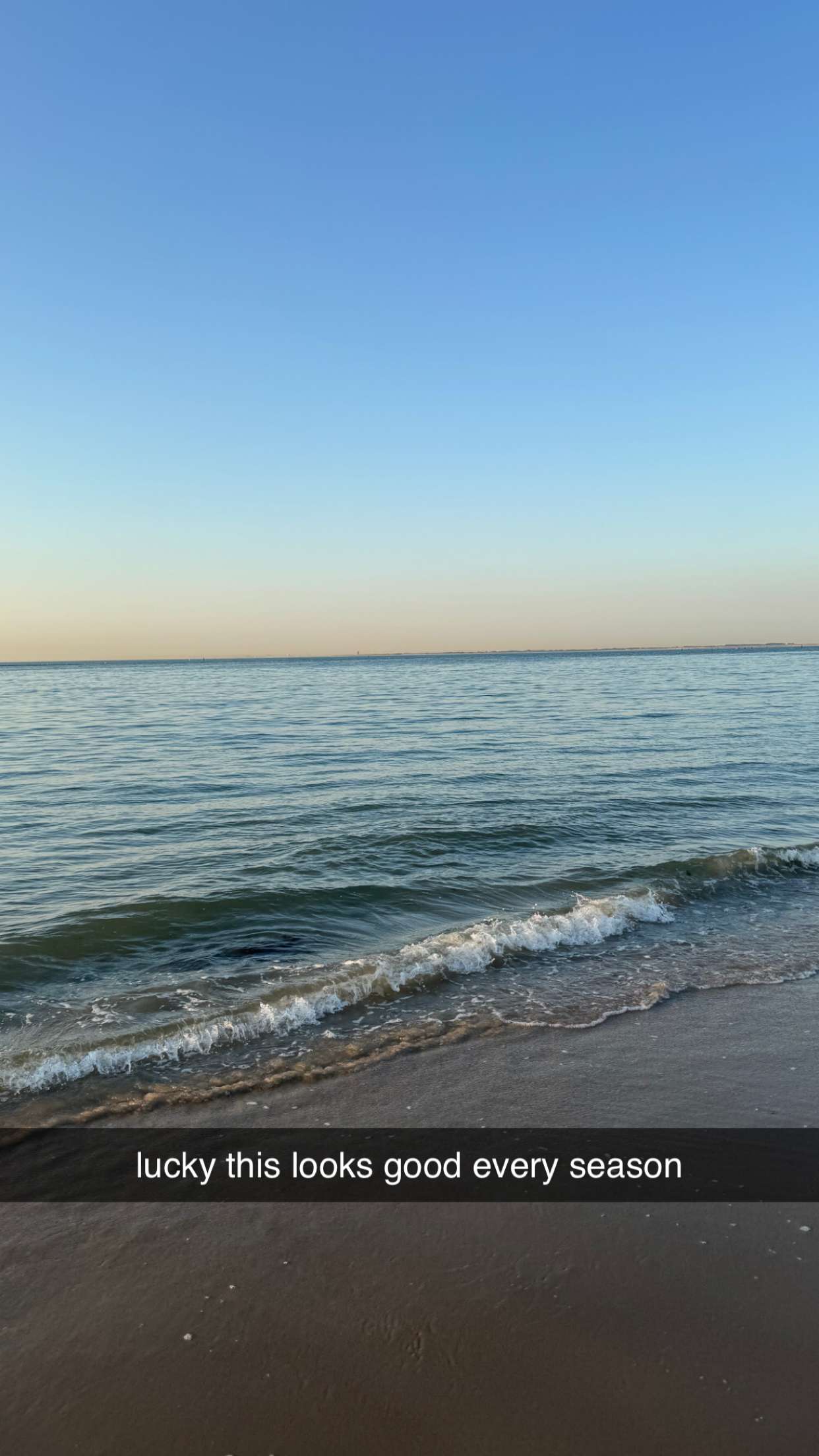 surfsterre snapchat image archive image