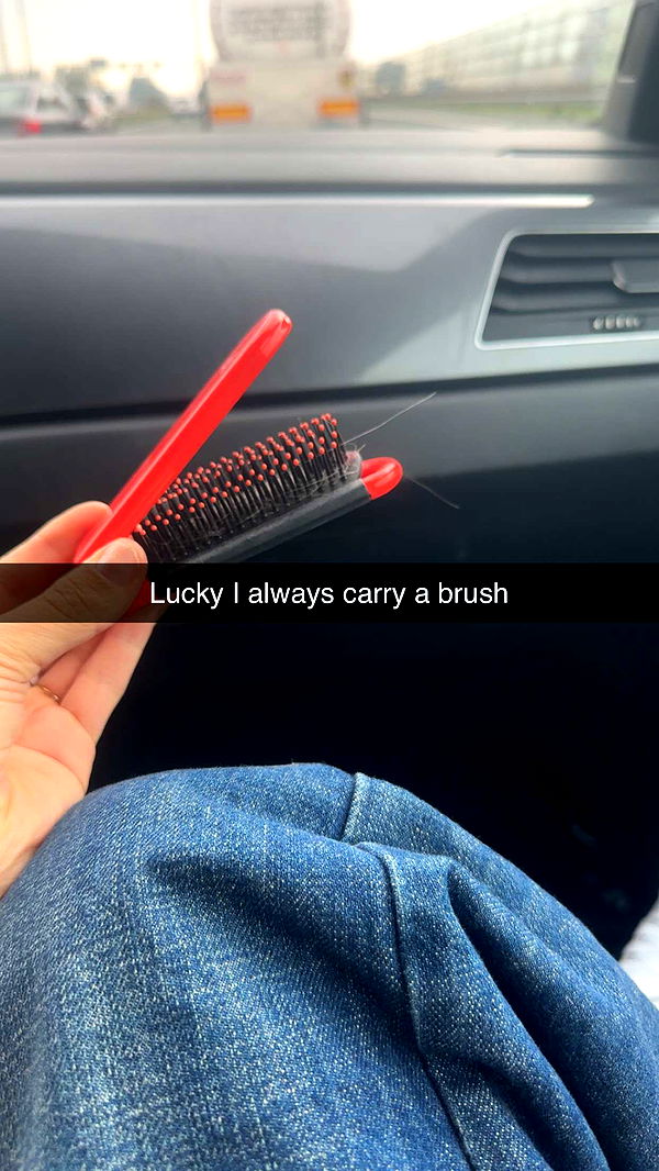 surfsterre image ~ Altpins