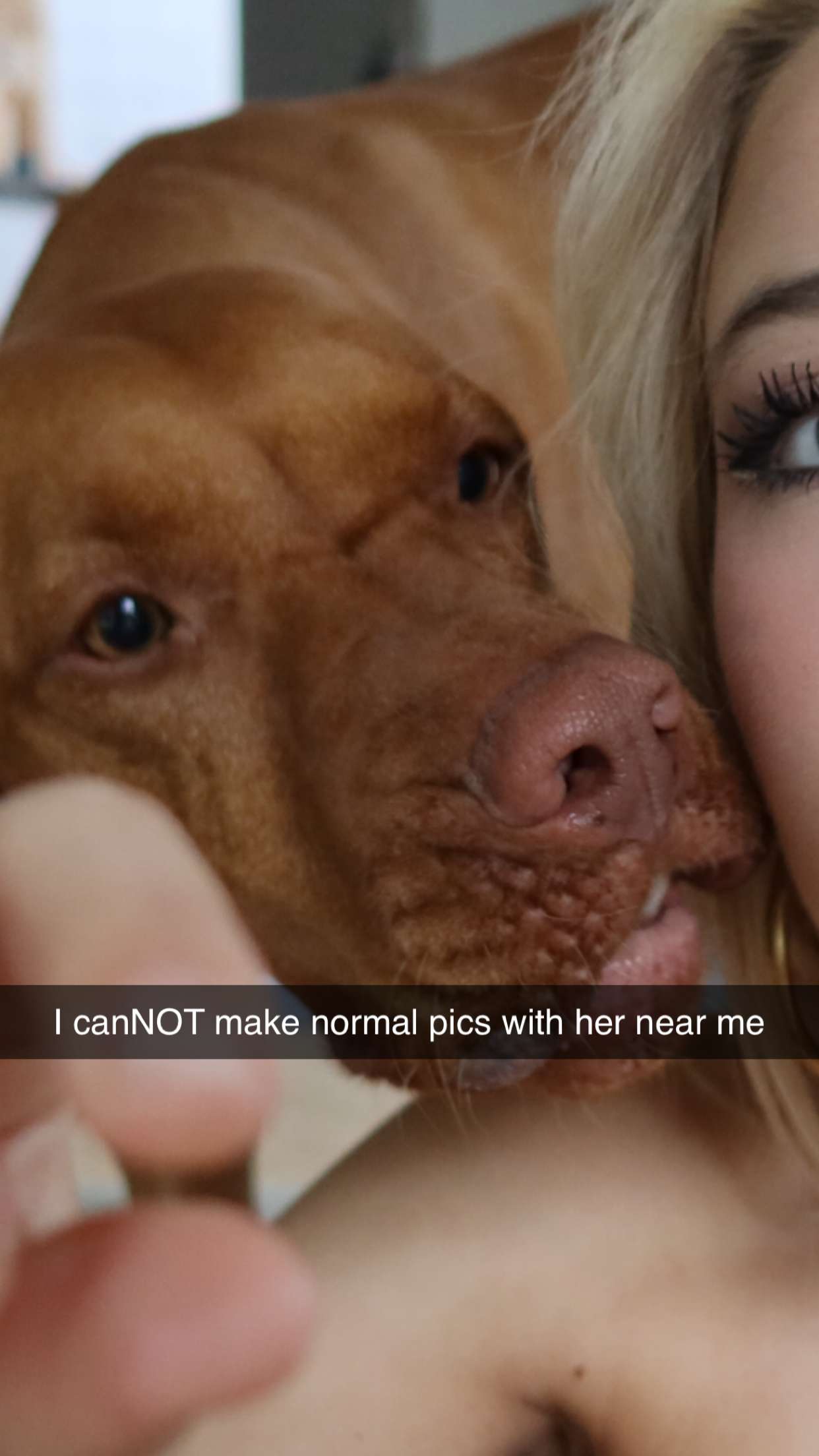 surfsterre snapchat image archive image