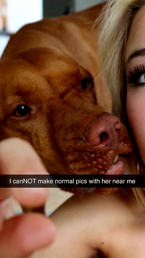 surfsterre image ~ Altpins