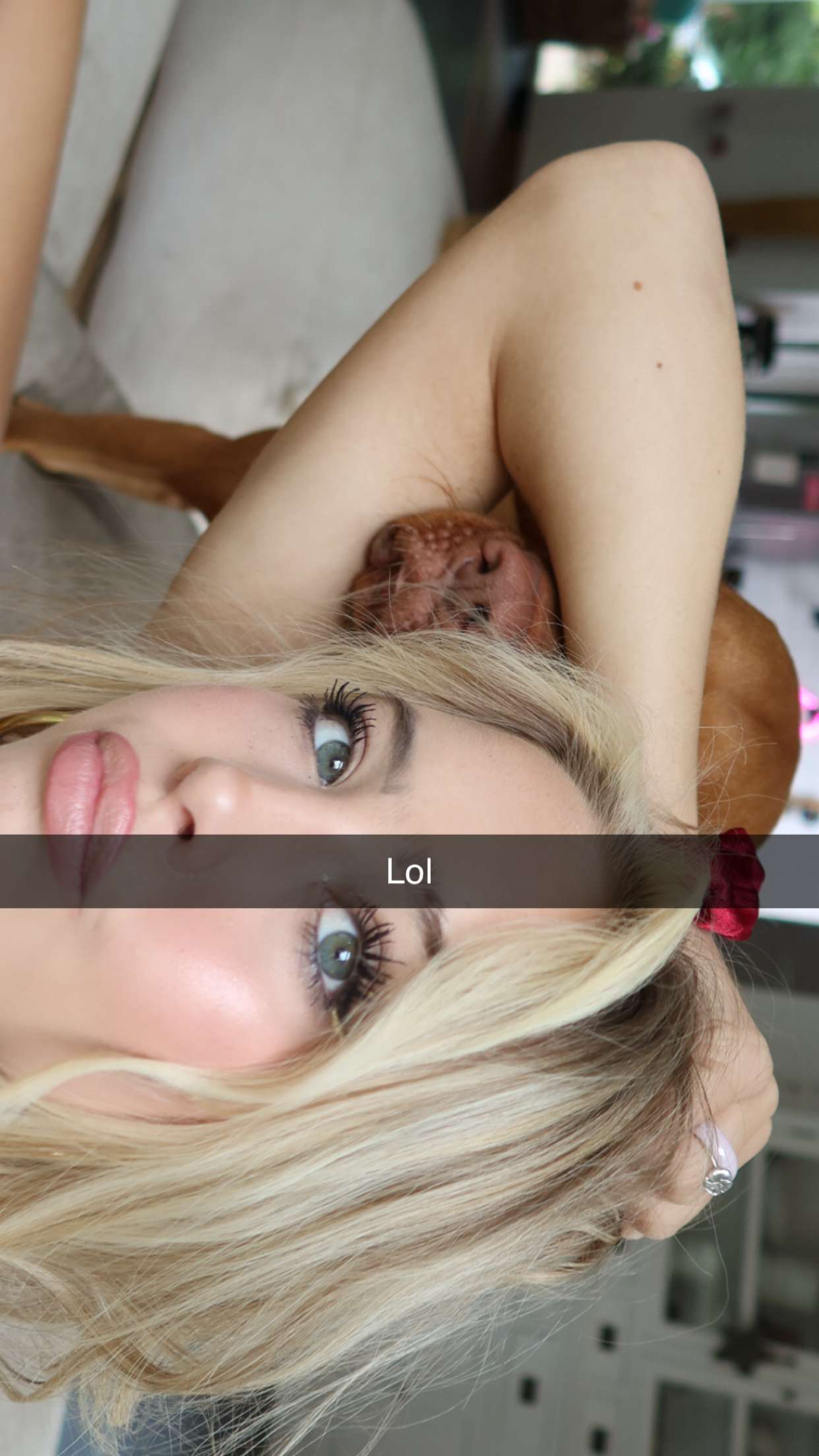 surfsterre snapchat image archive image