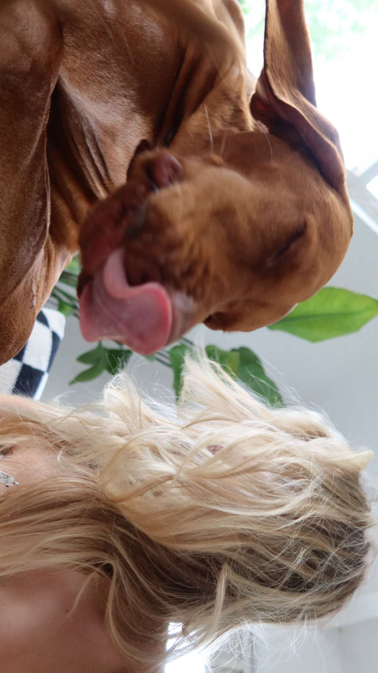 surfsterre snapchat image archive image