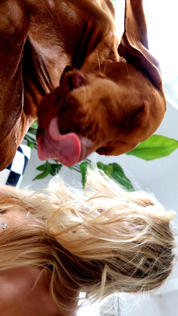 surfsterre image ~ Altpins