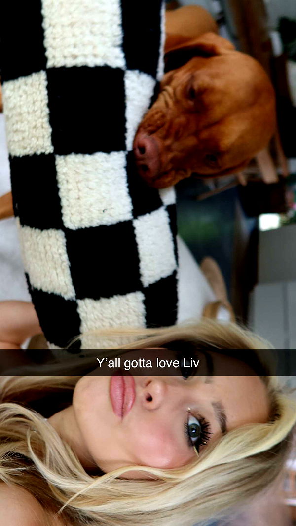 surfsterre image ~ Altpins