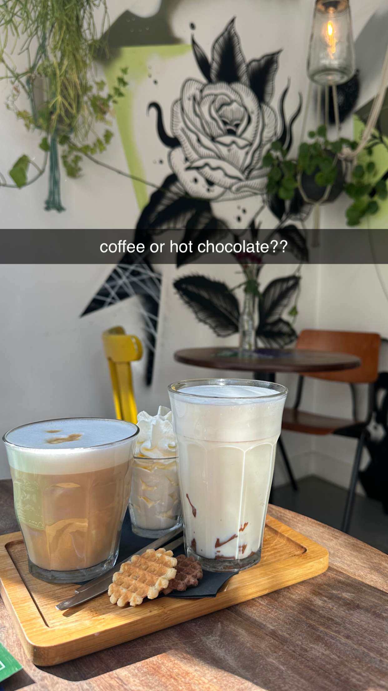 surfsterre snapchat image archive image