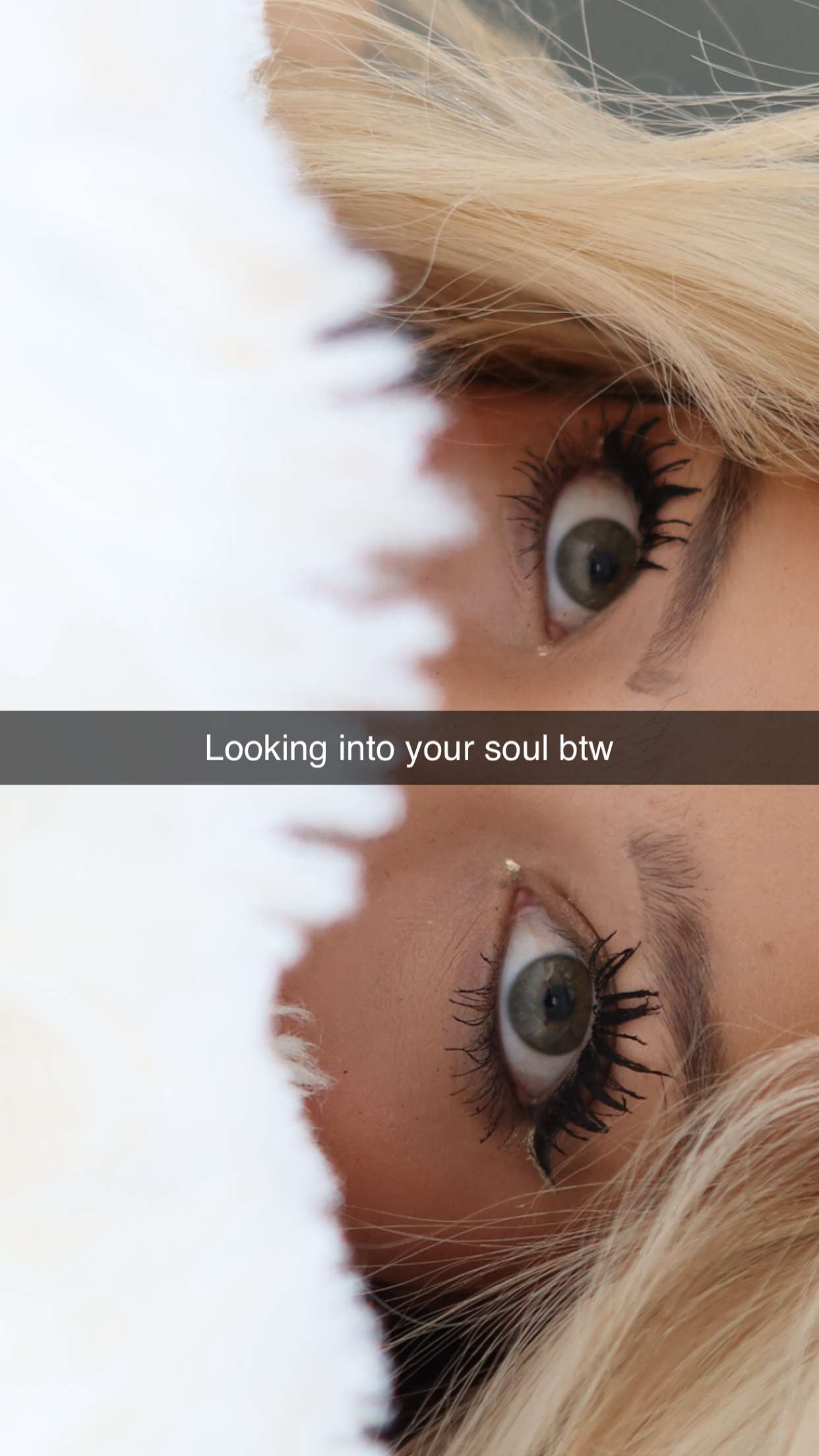 surfsterre snapchat image archive image