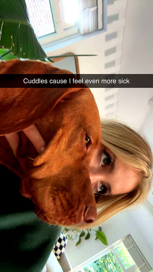 surfsterre image ~ Altpins