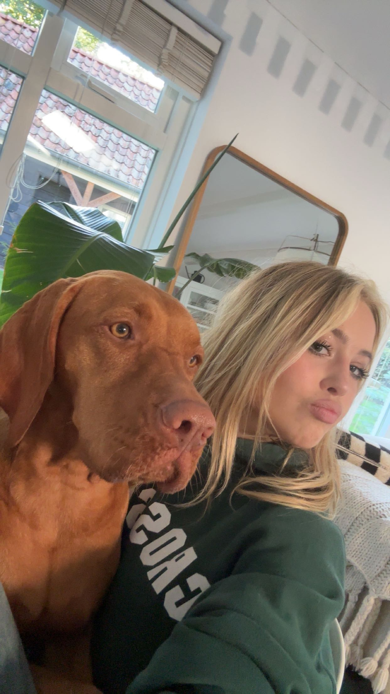 surfsterre snapchat image archive image