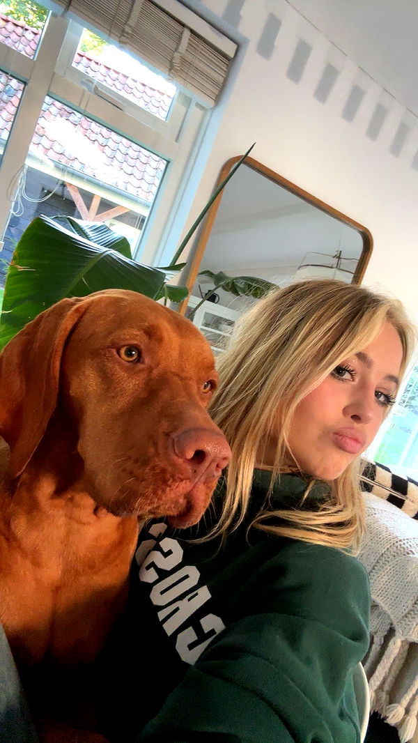 surfsterre image ~ Altpins