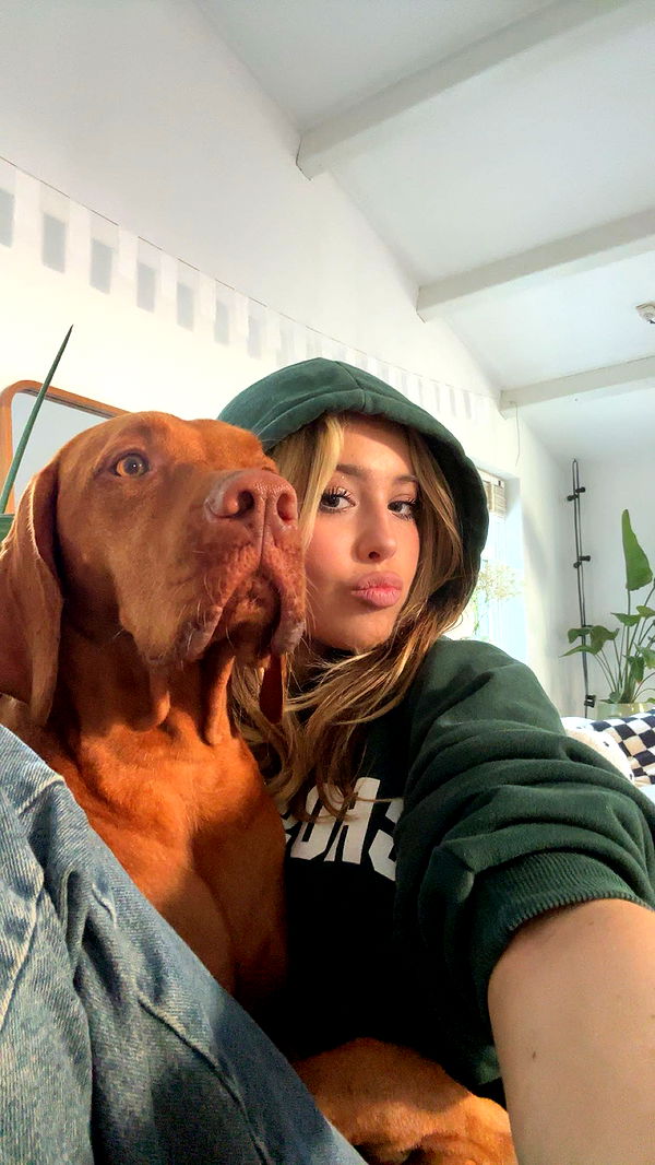 surfsterre image ~ Altpins