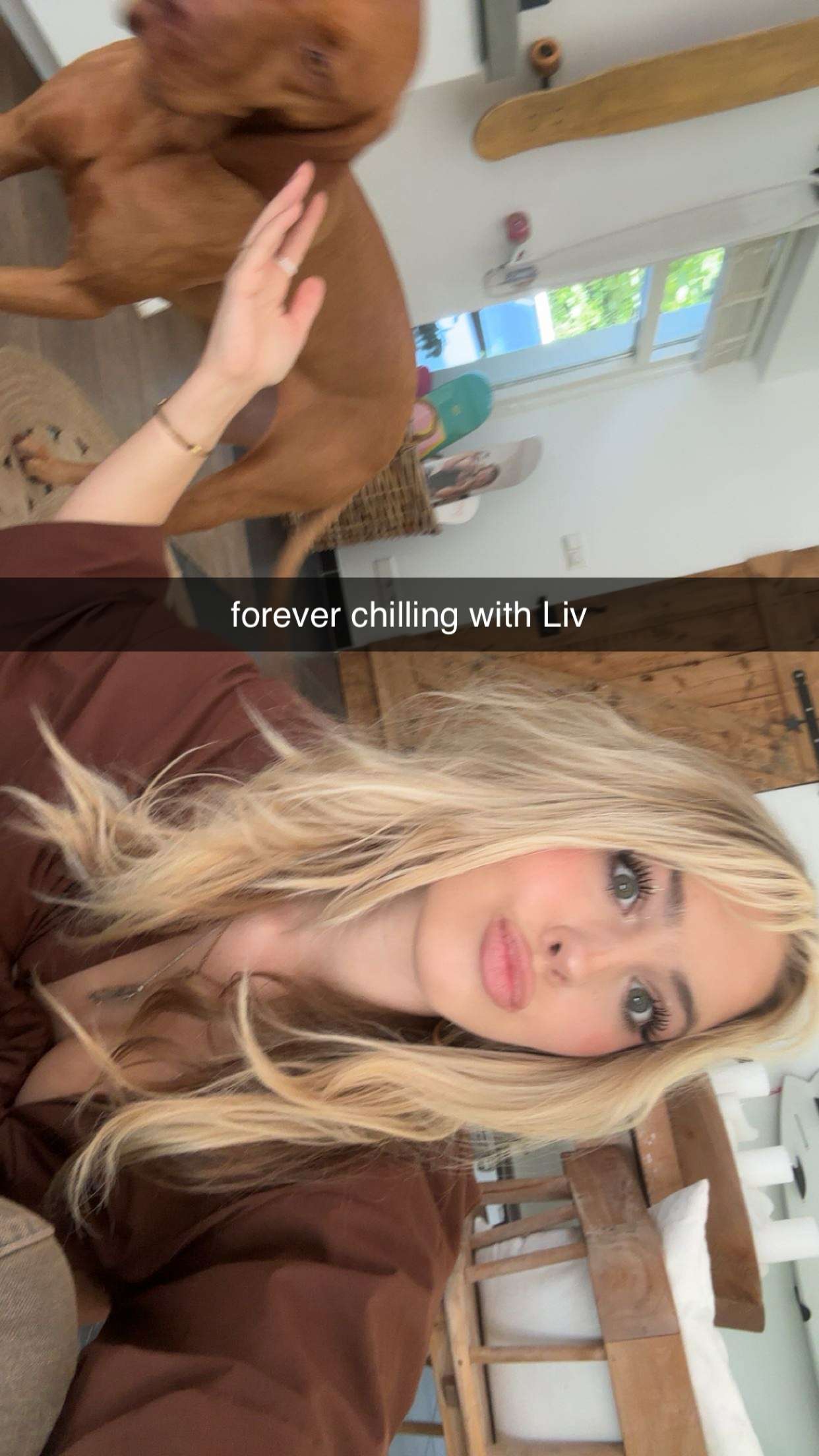 surfsterre snapchat image archive image