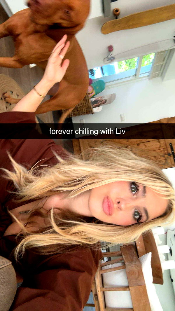 surfsterre image ~ Altpins