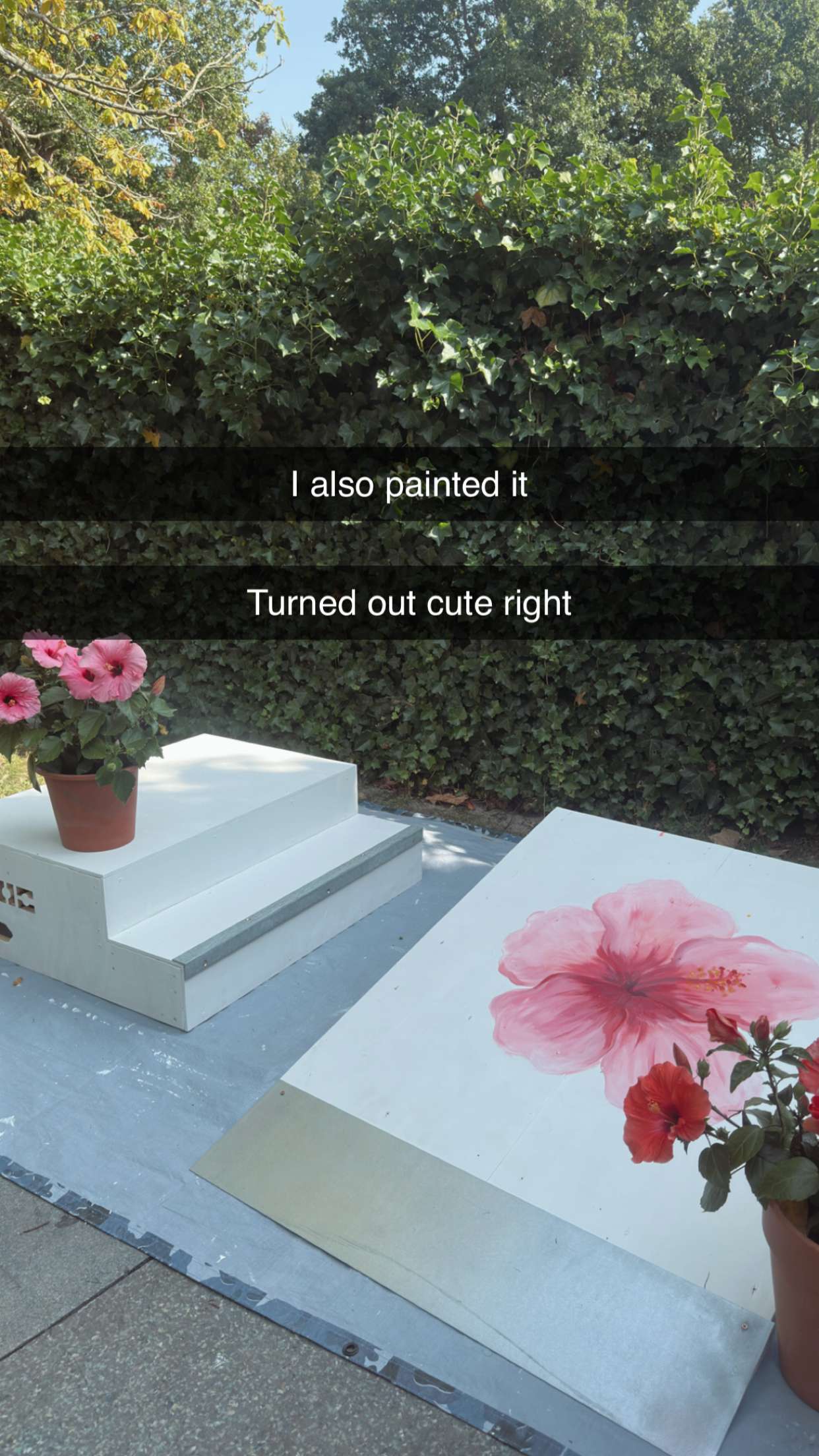 surfsterre snapchat image archive image