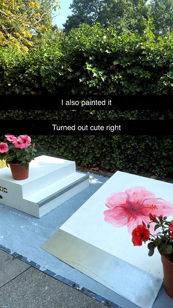 surfsterre image ~ Altpins