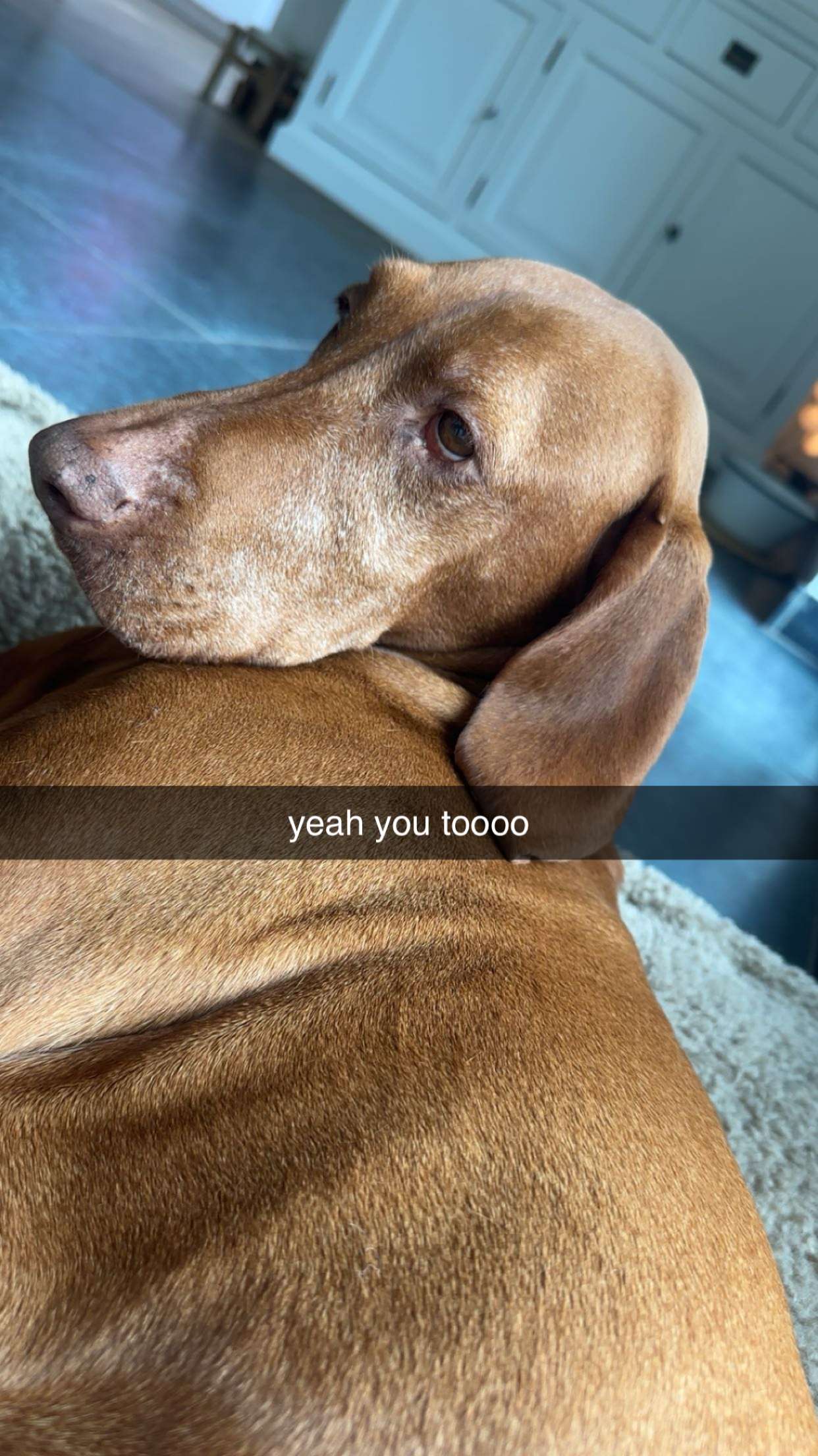 surfsterre snapchat image archive image