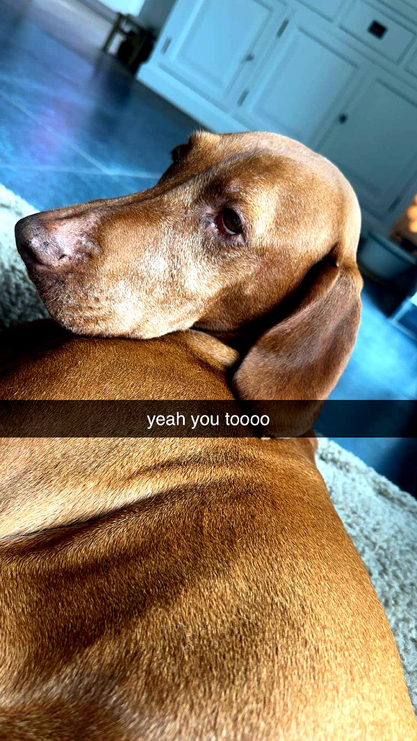 surfsterre image ~ Altpins