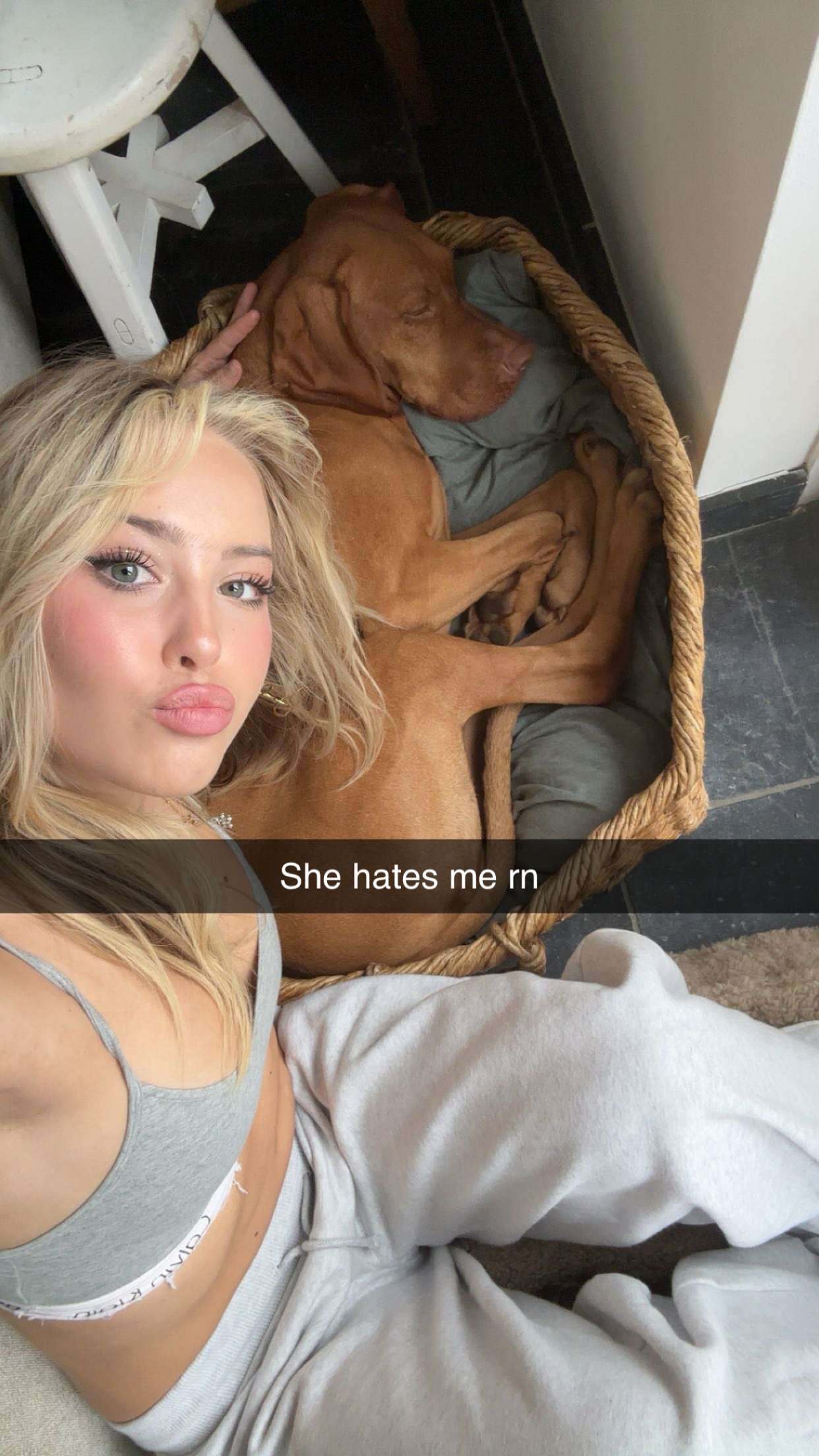 surfsterre snapchat image archive image