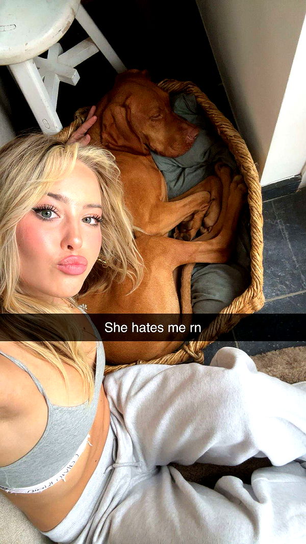 surfsterre image ~ Altpins