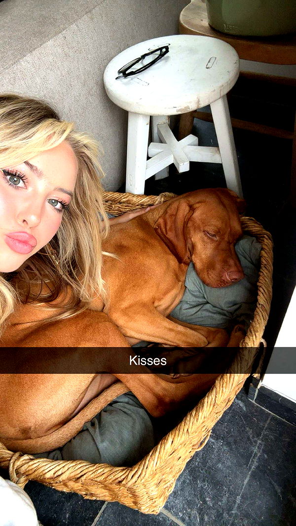 surfsterre image ~ Altpins