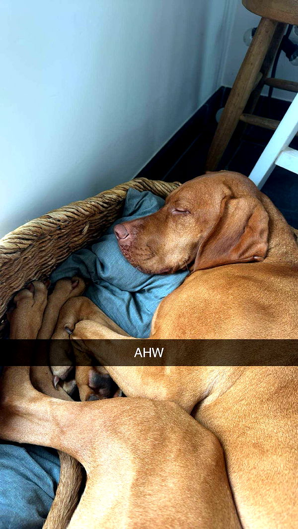 surfsterre image ~ Altpins