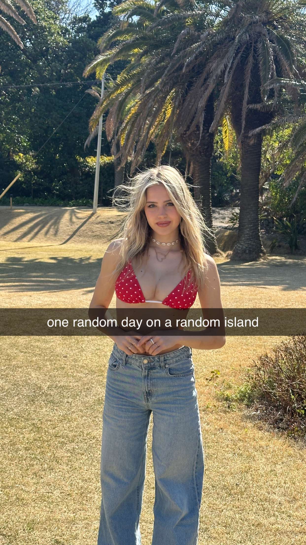 surfsterre snapchat image archive image