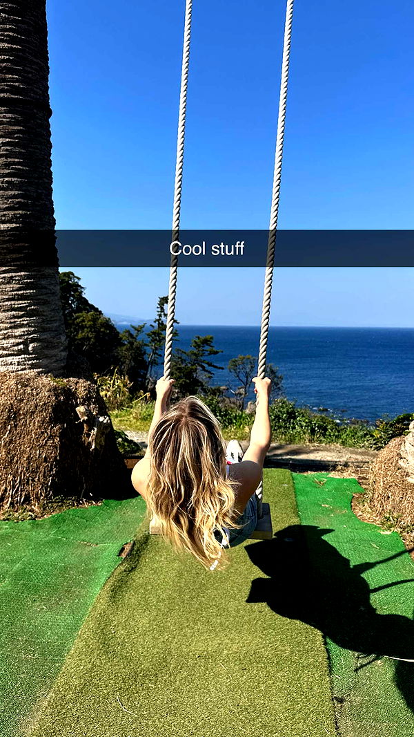 surfsterre image ~ Altpins