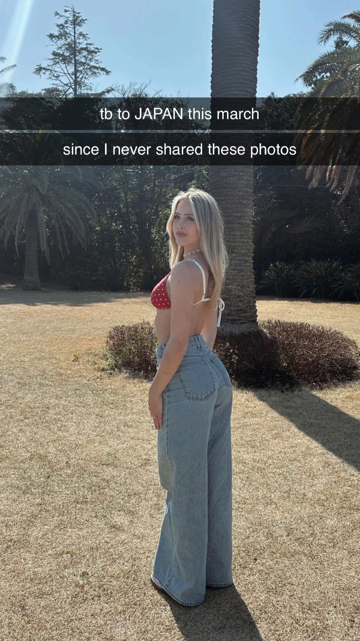 surfsterre snapchat image archive image