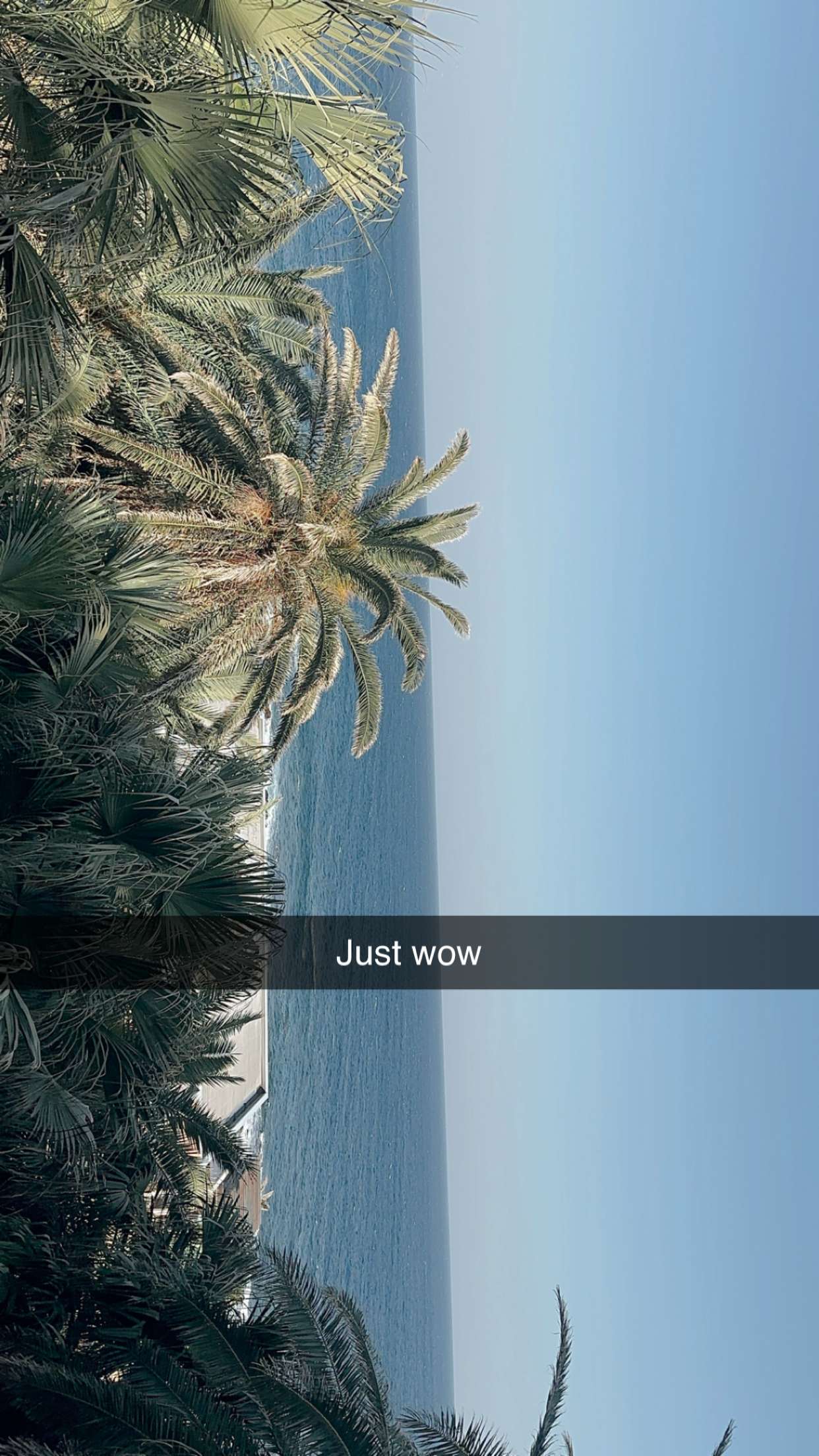 surfsterre snapchat image archive image