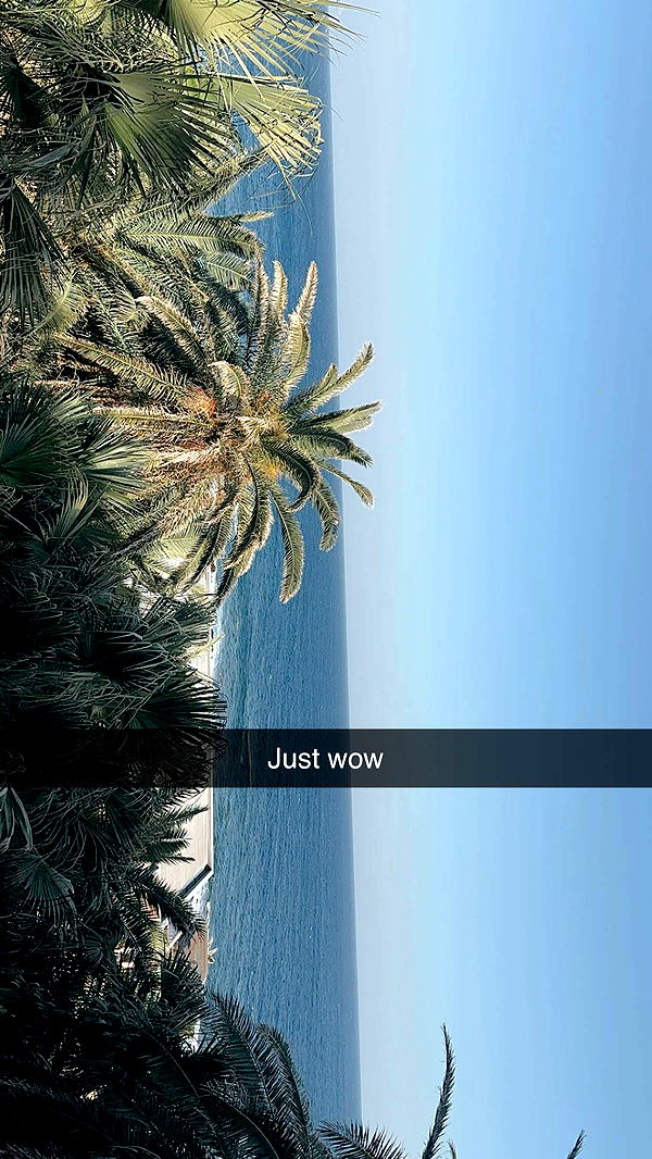 surfsterre image ~ Altpins