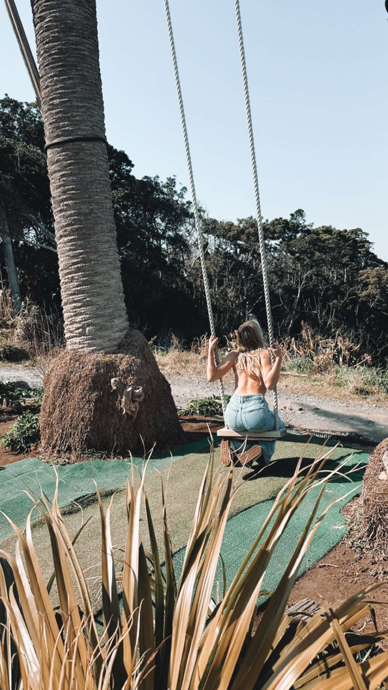 surfsterre snapchat image archive image