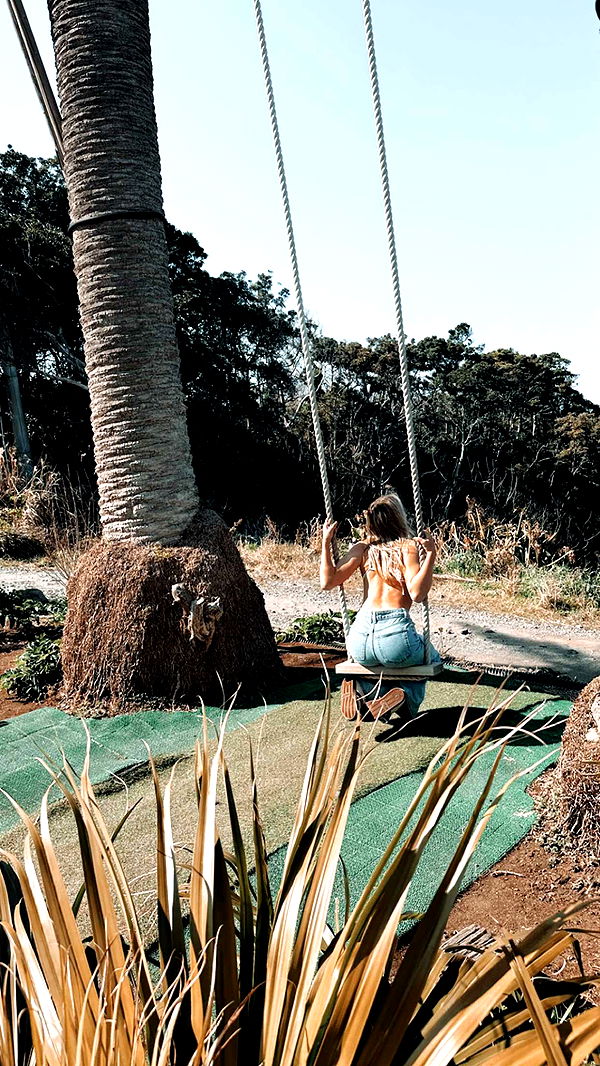 surfsterre image ~ Altpins