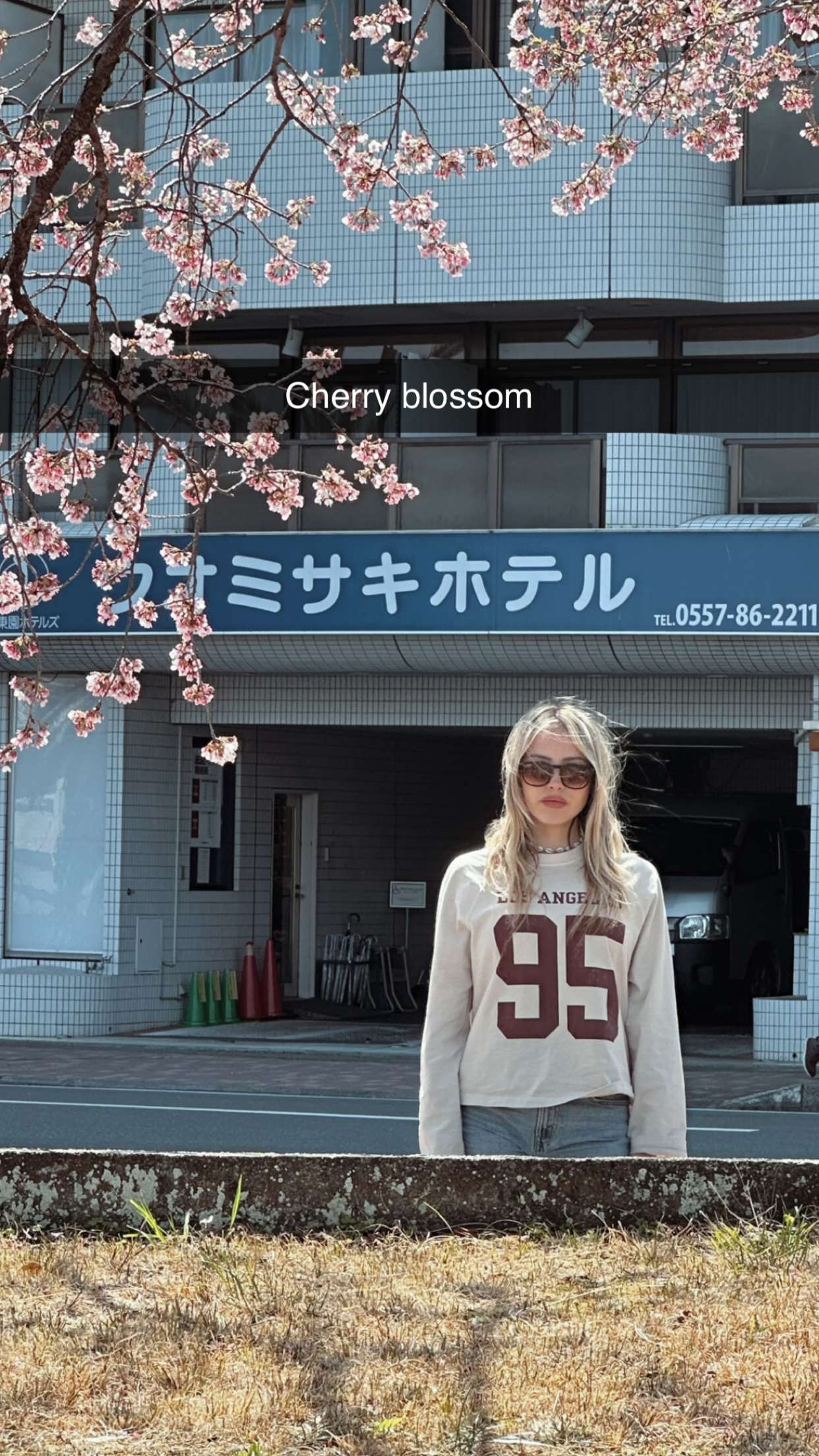 surfsterre snapchat image archive image