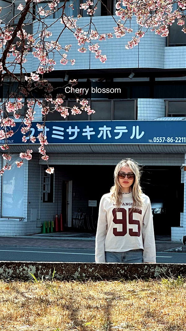 surfsterre image ~ Altpins